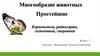 Тип простейшие: корненожки, радиолярии, солнечники, споровики