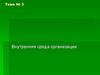 Внутренняя среда организации. Тема № 3