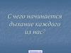 Органы дыхательной системы человека