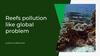 Reefs pollution like global problem