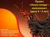 Наши соседи - насекомые,  (дети 4 – 5 лет)
