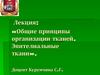 Общие принципы организации тканей. Эпителиальные ткани
