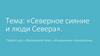 Рисунок на тему «Северное сияние и люди Севера»