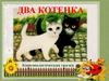 Два котенка. Кинезиологическая сказка (часть 3)