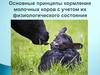 Основные принципы кормления молочных коров с учетом их физиологического состояния