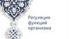 Регуляция функций организма