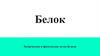 Белок.  Химические и физические свойства белков