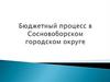 Бюджетный процесс в Сосновоборском городском округе