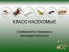 Класс насекомые. Особенности строения и жизнедеятельности