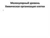 Молекулярный уровень. Химическая организация клетки