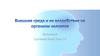 Внешняя среда и ее воздействие на организм человека