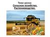 Сельское хозяйство. Растениеводство