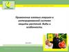 Клеевые ловушки в интегрированной системе защиты растений. Виды и особенности