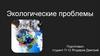 Экологические проблемы