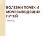 Болезни мочеполовой системы