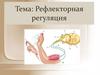 Рефлекторная регуляция