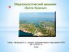 Общезоологический заказник «Бухта Казачья»