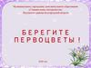 Берегите первоцветы