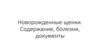 Новорожденные щенки. Содержание, болезни, документы