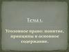 Уголовное право: понятие, принципы и основное содержание