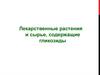 Лекарственные растения и сырье, содержащие гликозиды