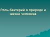 Роль бактерий в природе и жизни человека
