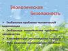 Экологическая безопасность. Глобальные проблемы человеческой цивилизации
