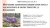Изучение ценопопуляции прострела раскрытого в окрестностях д. Клавдино
