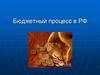 Бюджетный процесс в РФ