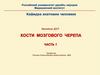 Занятие ДОТ. Кости мозгового черепа. Часть 1