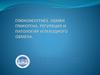 Глюконеогенез. Обмен гликогена. Регуляция и патология углеводного обмена