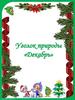 Уголок природы «Декабрь»