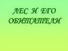 Лес и его обитатели