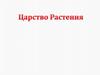 Царство Растения