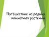 Путешествие на родину комнатных растений