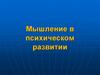 Мышление в психическом развитии. Лекция 6