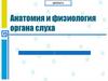Анатомия и физиология органа слуха