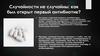 Случайности не случайны: как был открыт первый антибиотик?
