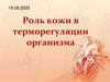 Роль кожи в терморегуляции организма