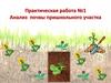 Практическая работа №1. Анализ почвы пришкольного участка