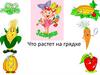 Что растет на грядке. Загадки