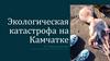 Экологическая катастрофа на Камчатке