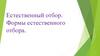 Естественный отбор. Формы естественного отбора