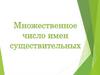 Множественное число существительных