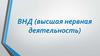 ВНД (высшая нервная деятельность)