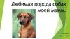 Любимая порода собак моей мамы