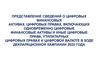 Представление сведений о цифровых финансовых активах, цифровых правах, включающих одновременно цифровые финансовые активы