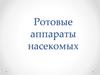 Ротовые аппараты насекомых