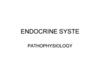 Endocrine System