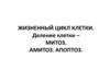 Жизненный цикл клетки. Деление клетки – митоз. Амитоз. Апоптоз